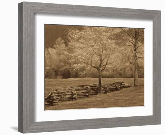 Smokies Fence-Wendy Caro-Framed Giclee Print