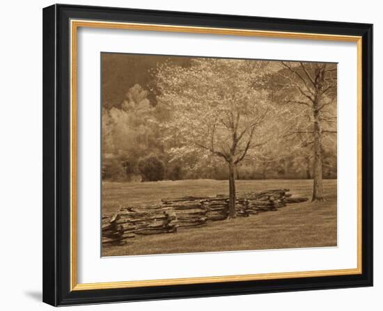 Smokies Fence-Wendy Caro-Framed Giclee Print