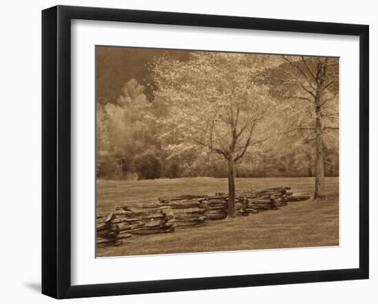 Smokies Fence-Wendy Caro-Framed Giclee Print