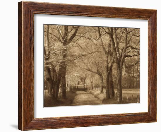 Smokies Road-Wendy Caro-Framed Giclee Print