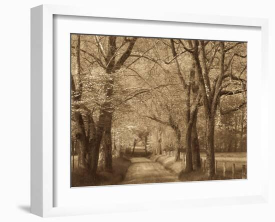 Smokies Road-Wendy Caro-Framed Giclee Print