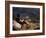 Smoking Her Pipe, a Naxi Woman Rests after Crossing a Precarious Pipe Bridge High Above the Yangtse-Amar Grover-Framed Photographic Print