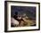 Smoking Her Pipe, a Naxi Woman Rests after Crossing a Precarious Pipe Bridge High Above the Yangtse-Amar Grover-Framed Photographic Print