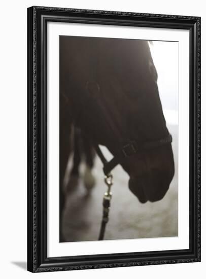 Smoky Black-Chris Dunker-Framed Giclee Print