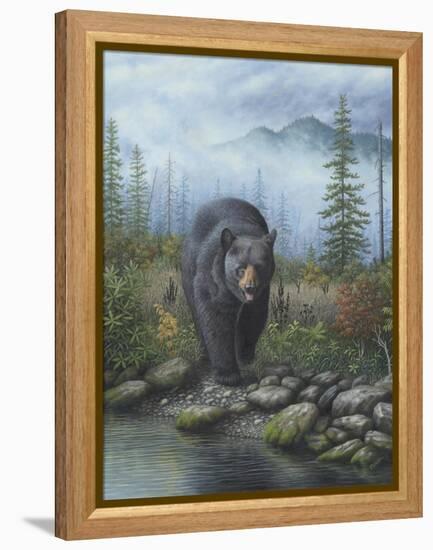 Smoky Mountain Black Bear-Robert Wavra-Framed Premier Image Canvas