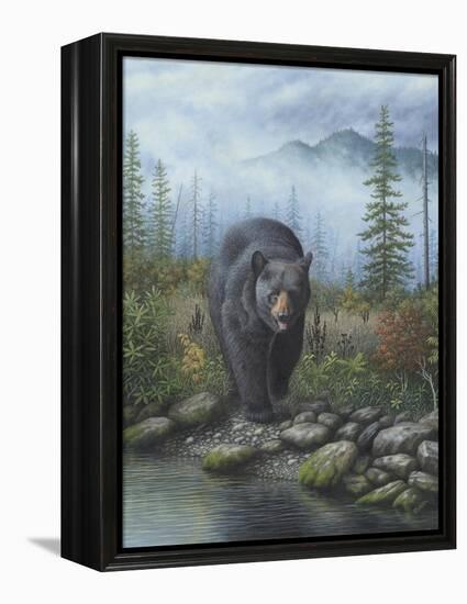 Smoky Mountain Black Bear-Robert Wavra-Framed Premier Image Canvas