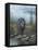 Smoky Mountain Black Bear-Robert Wavra-Framed Premier Image Canvas