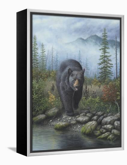 Smoky Mountain Black Bear-Robert Wavra-Framed Premier Image Canvas