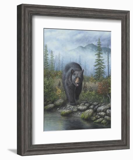 Smoky Mountain Black Bear-Robert Wavra-Framed Giclee Print