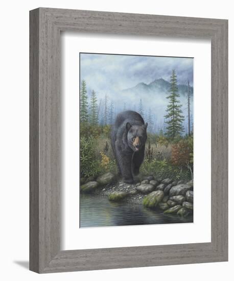 Smoky Mountain Black Bear-Robert Wavra-Framed Giclee Print