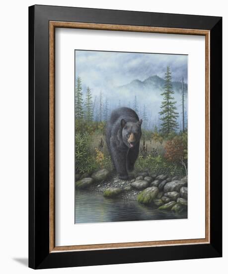 Smoky Mountain Black Bear-Robert Wavra-Framed Giclee Print