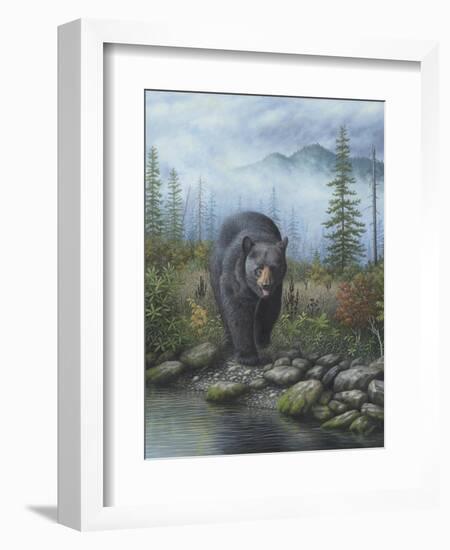 Smoky Mountain Black Bear-Robert Wavra-Framed Giclee Print