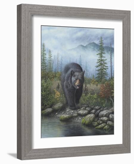 Smoky Mountain Black Bear-Robert Wavra-Framed Giclee Print