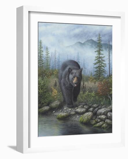 Smoky Mountain Black Bear-Robert Wavra-Framed Giclee Print