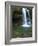 Smoky Mountain Natioanl Park: a Hiker Running Behind Grotto Falls-Brad Beck-Framed Photographic Print