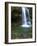 Smoky Mountain Natioanl Park: a Hiker Running Behind Grotto Falls-Brad Beck-Framed Photographic Print