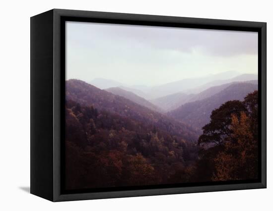 Smoky Mountains in the Mist-Rick Barrentine-Framed Premier Image Canvas