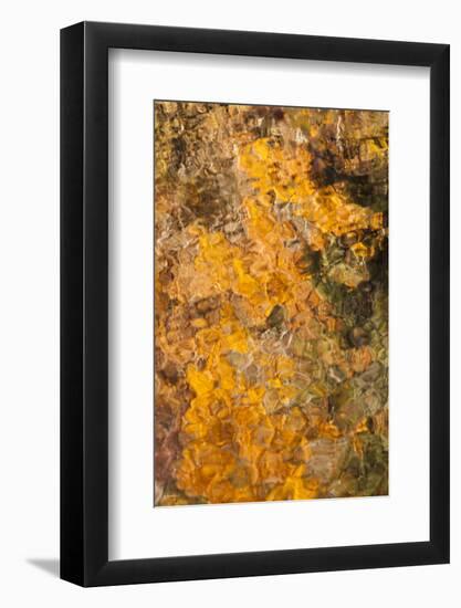 Smoky Mountains National Park, Fall Foliage Reflections in Litter River-Joanne Wells-Framed Photographic Print