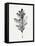 Smoky Oak Leaf I-Emma Caroline-Framed Stretched Canvas