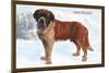 Smooth Coated Saint Bernard-null-Mounted Art Print