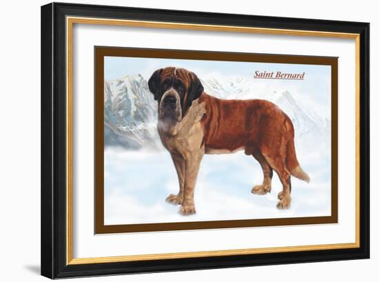 Smooth Coated Saint Bernard-null-Framed Art Print