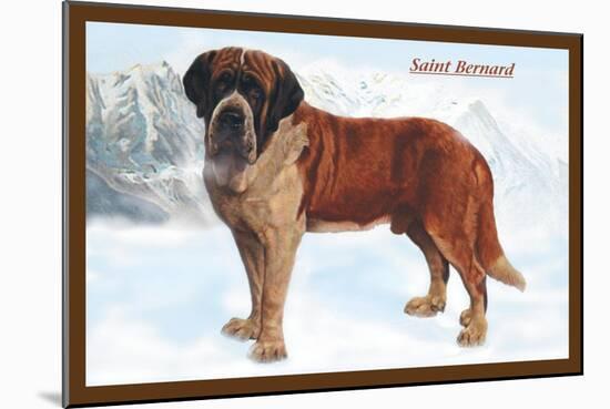 Smooth Coated Saint Bernard-null-Mounted Art Print