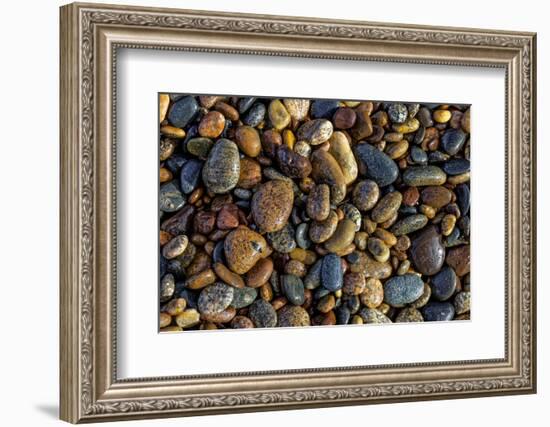 Smooth granite pebbles on beach of Lake Superior, Whitefish Point, Michigan-Adam Jones-Framed Photographic Print