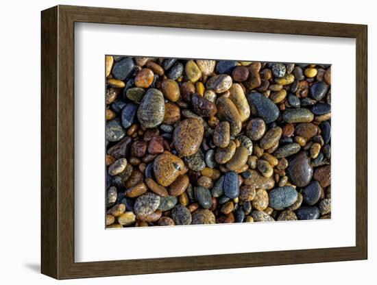 Smooth granite pebbles on beach of Lake Superior, Whitefish Point, Michigan-Adam Jones-Framed Photographic Print