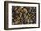 Smooth granite pebbles on beach of Lake Superior, Whitefish Point, Michigan-Adam Jones-Framed Photographic Print