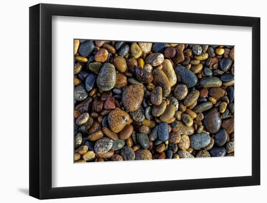 Smooth granite pebbles on beach of Lake Superior, Whitefish Point, Michigan-Adam Jones-Framed Photographic Print