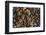 Smooth granite pebbles on beach of Lake Superior, Whitefish Point, Michigan-Adam Jones-Framed Photographic Print