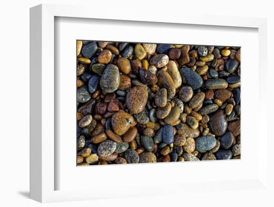 Smooth granite pebbles on beach of Lake Superior, Whitefish Point, Michigan-Adam Jones-Framed Photographic Print