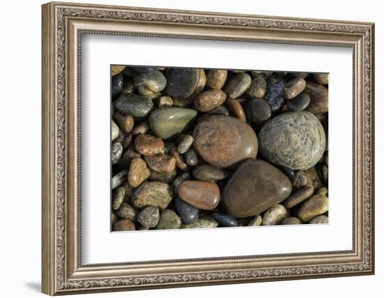 Smooth granite pebbles on beach of Lake Superior, Whitefish Point, Michigan-Adam Jones-Framed Photographic Print