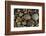 Smooth granite pebbles on beach of Lake Superior, Whitefish Point, Michigan-Adam Jones-Framed Photographic Print