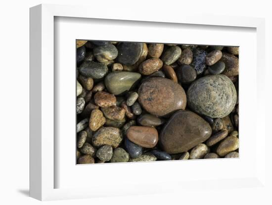 Smooth granite pebbles on beach of Lake Superior, Whitefish Point, Michigan-Adam Jones-Framed Photographic Print