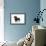 Smooth Haired Miniature Dachsund-null-Framed Photographic Print displayed on a wall