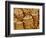 Smooth muscle of trachea of a dog-Micro Discovery-Framed Photographic Print