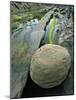 Smooth Sandstone Boulder, Shore Acres State Park, Oregon, USA-Jaynes Gallery-Mounted Photographic Print