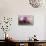Smoothie with Blueberries and Oatmeal-Elena Veselova-Photographic Print displayed on a wall