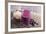 Smoothie with Blueberries and Oatmeal-Elena Veselova-Framed Photographic Print