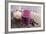 Smoothie with Blueberries and Oatmeal-Elena Veselova-Framed Photographic Print