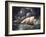 Smugglers and Revenue Cutter-Thomas Buttersworth-Framed Giclee Print