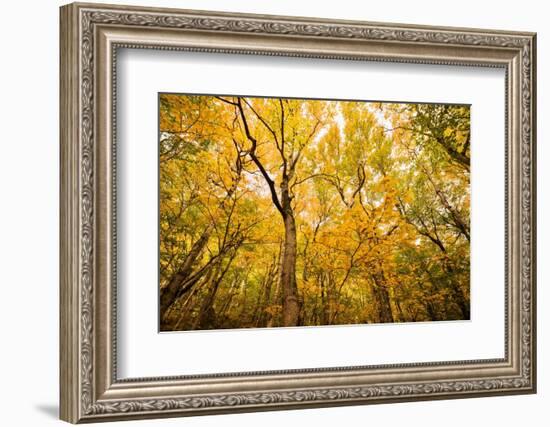 Smugglers Notch-Richard Wong-Framed Photographic Print