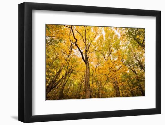 Smugglers Notch-Richard Wong-Framed Photographic Print