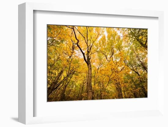 Smugglers Notch-Richard Wong-Framed Photographic Print