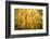 Smugglers Notch-Richard Wong-Framed Photographic Print