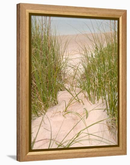 Smyrna Dunes Park, New Smyrna Beach, Florida-Lisa S^ Engelbrecht-Framed Premier Image Canvas