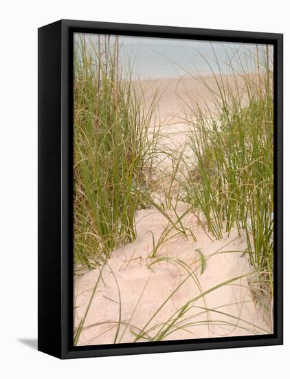 Smyrna Dunes Park, New Smyrna Beach, Florida-Lisa S^ Engelbrecht-Framed Premier Image Canvas