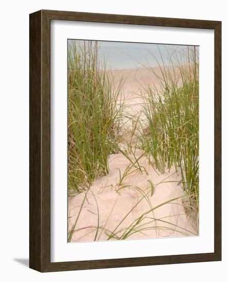 Smyrna Dunes Park, New Smyrna Beach, Florida-Lisa S^ Engelbrecht-Framed Photographic Print