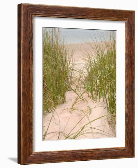 Smyrna Dunes Park, New Smyrna Beach, Florida-Lisa S^ Engelbrecht-Framed Photographic Print